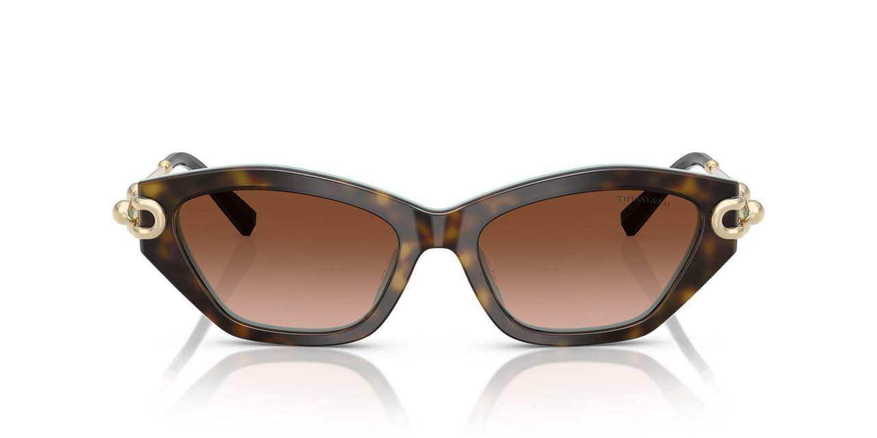 81343B - Brown - Brown Gradient