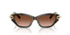 81343B - Brown - Brown Gradient