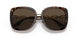 108/73 - Tortoise - Dark Brown