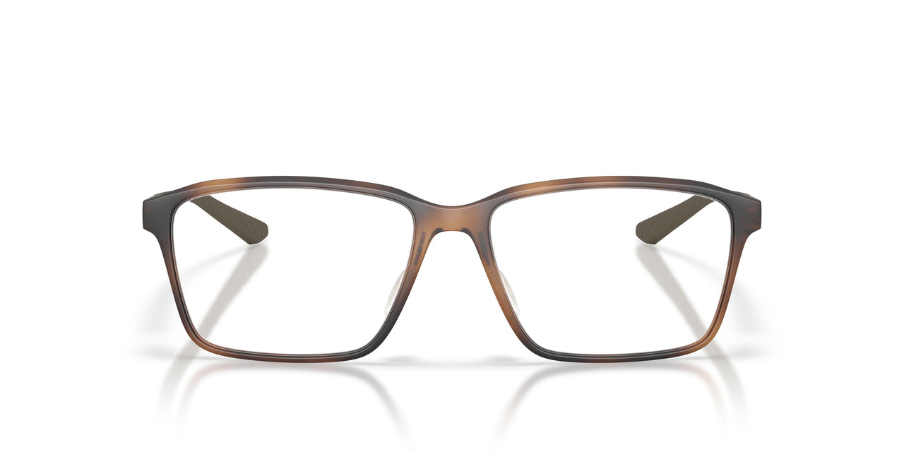 801204 - Tortoise