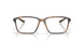 801204 - Tortoise