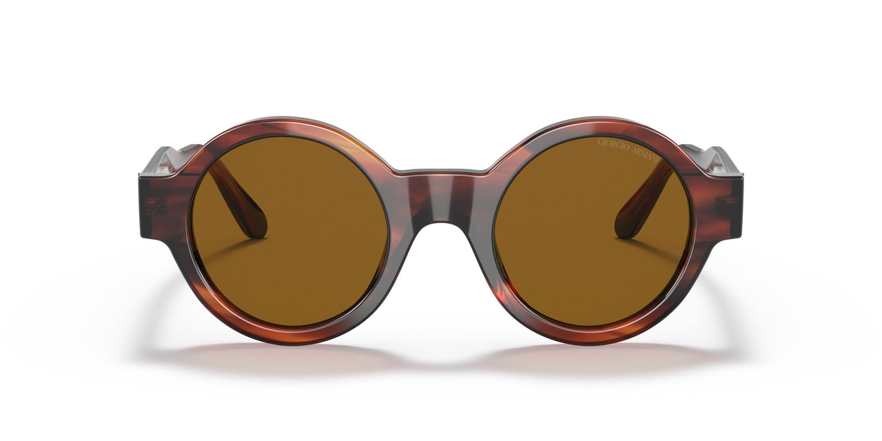 594433 - Havana - Brown