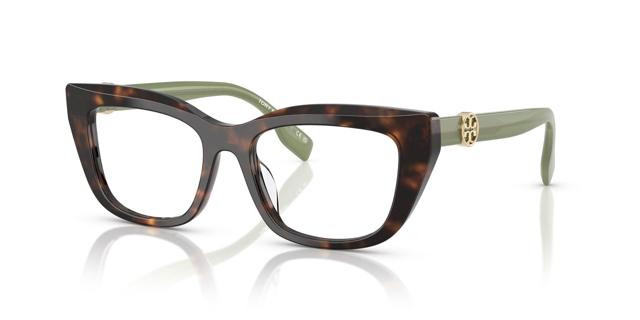 1964 - Tortoise