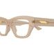 004 - Brown - Transparent