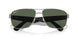 041/9A - Grey - Dark Green Polarized