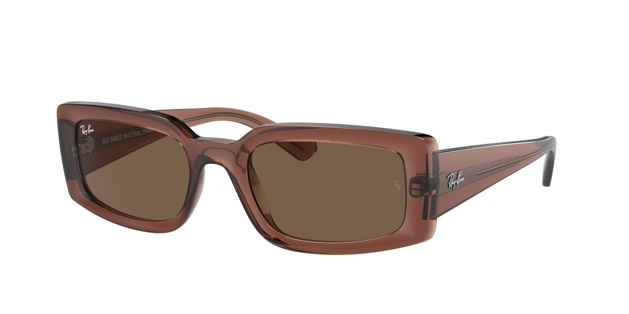 Ray-Ban Kiliane 4395F Sunglasses