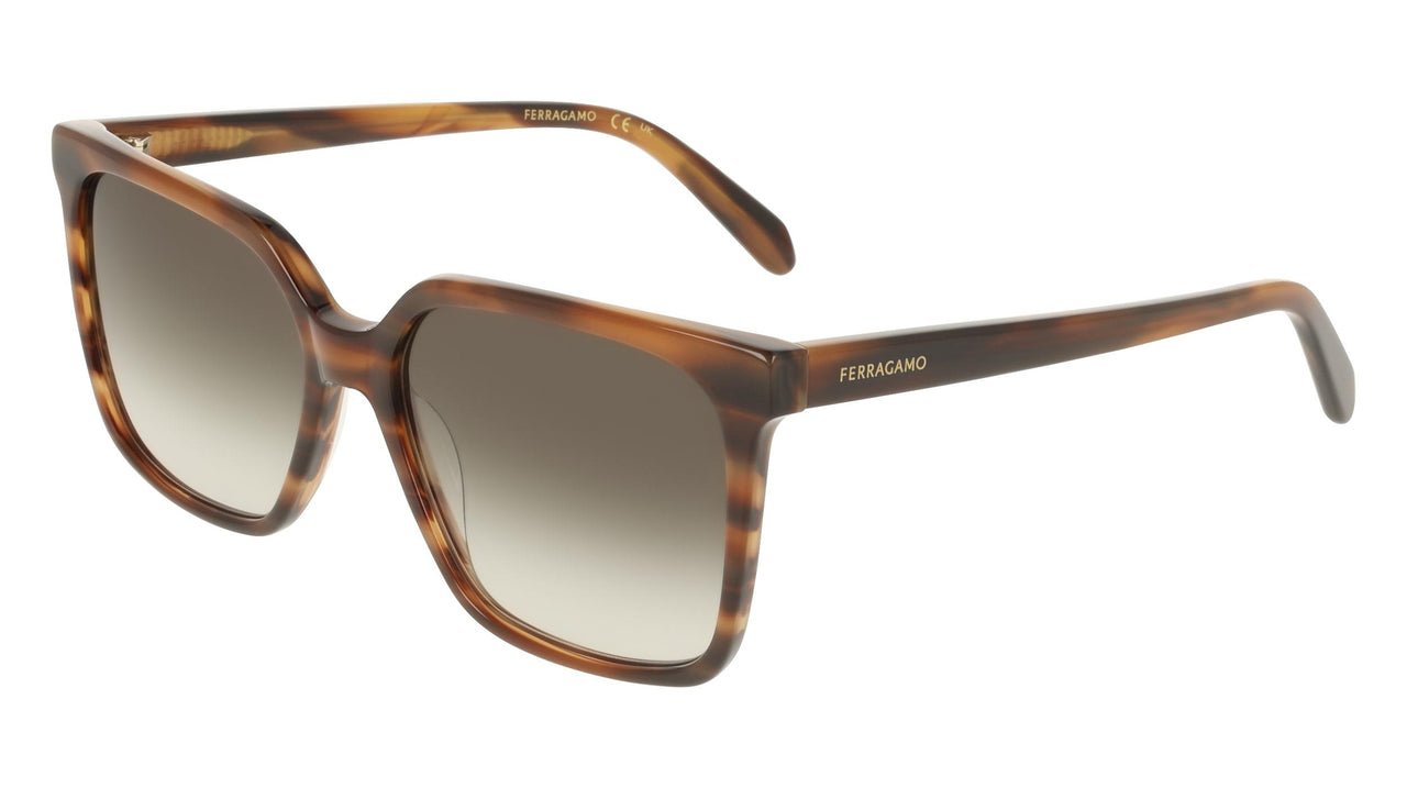 Salvatore Ferragamo SF2102S Sunglasses