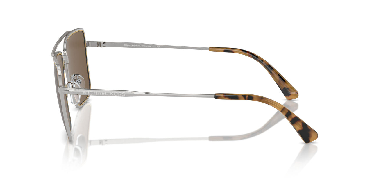 189373 - Silver - Brown Solid