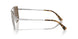189373 - Silver - Brown Solid