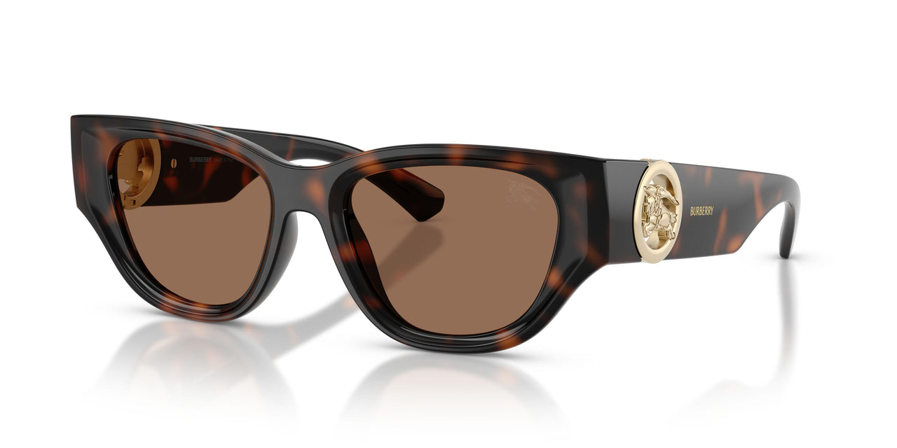 300273 - Brown - Dark Brown