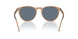 31894Y - Brown - Blue Polar