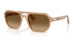 1169M2 - Brown - Brown Gradient Brown