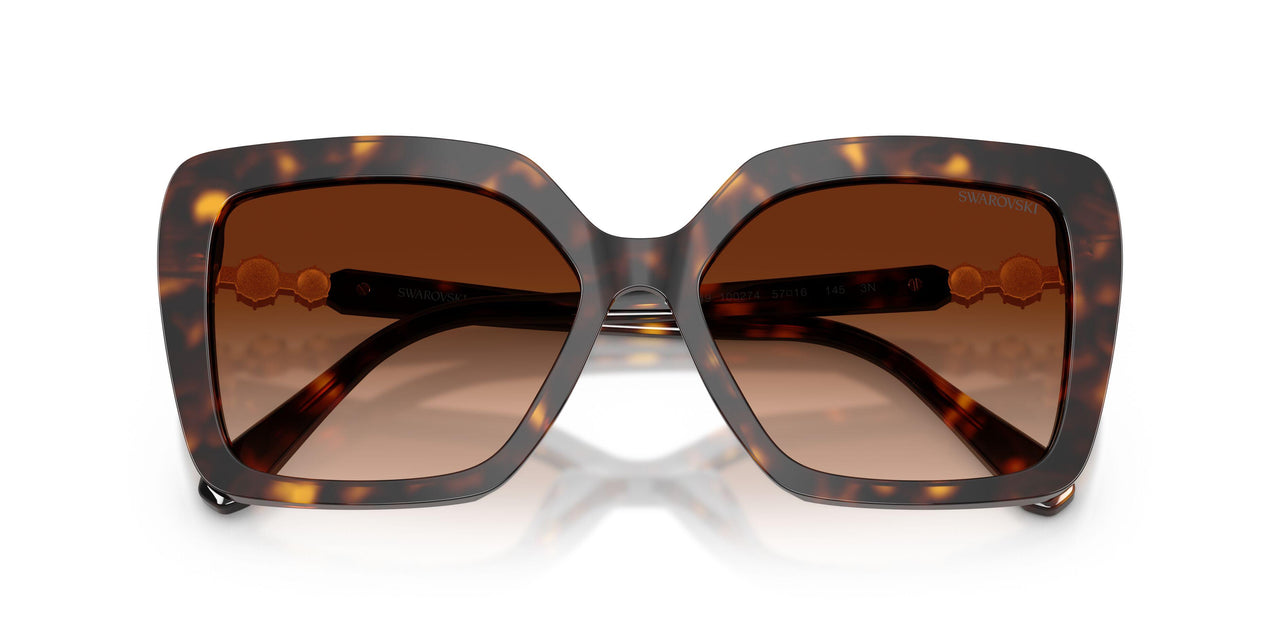 100274 - Tortoise - Gradient Brown