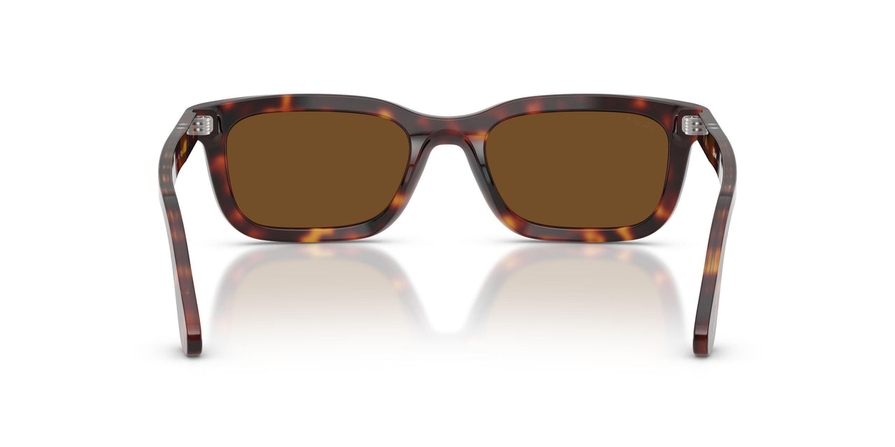 24/57 - Tortoise - Polar Brown