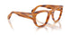 960 - Tortoise