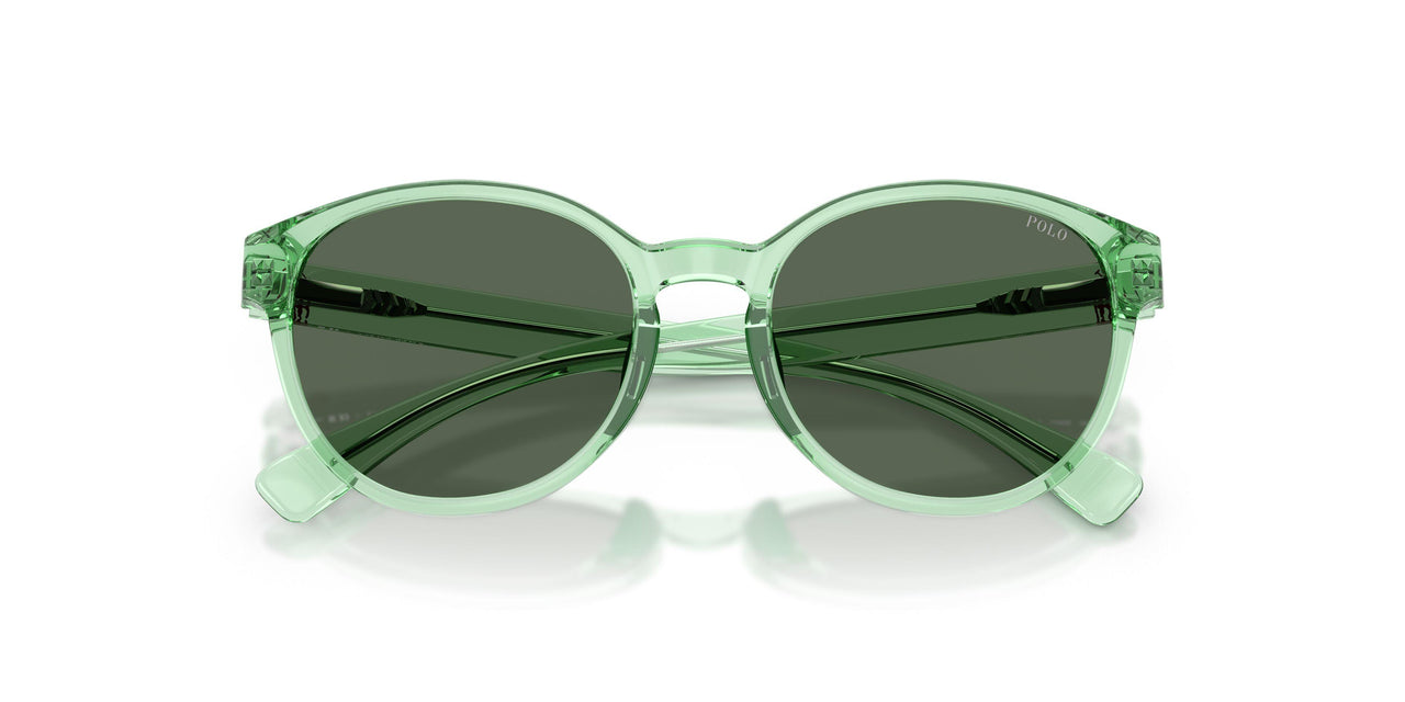 625071 - Green - Dark Green