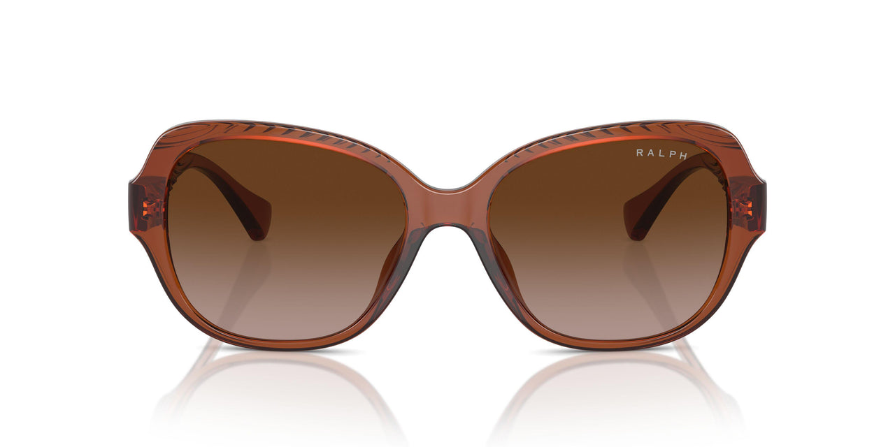 614913 - Brown - Gradient Brown