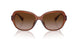 614913 - Brown - Gradient Brown