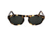 C14 - TORTOISESHELL