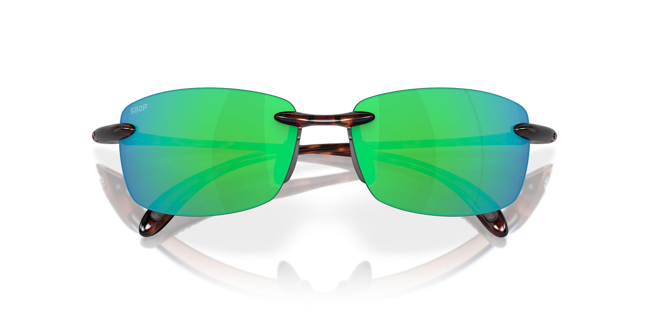 907103 - Tortoise - Green 580p