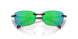 907103 - Tortoise - Green 580p