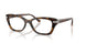 W656 - Brown
