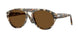 122157 - Multicolor - Brown Polar