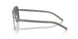 755/81 - Silver - Polarized Grey