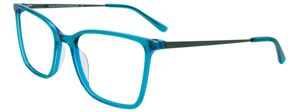 Takumi TK1271 Eyeglasses