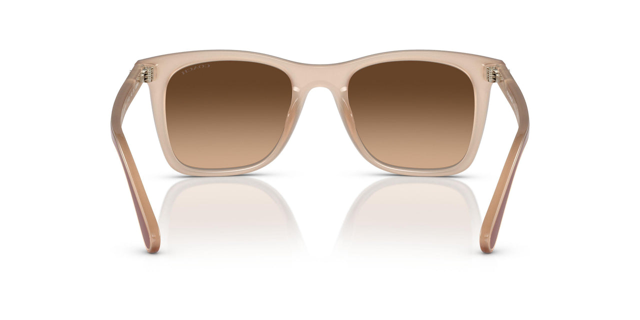574774 - White - Brown Gradient