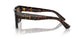 502/73 - Tortoise - Dark Brown