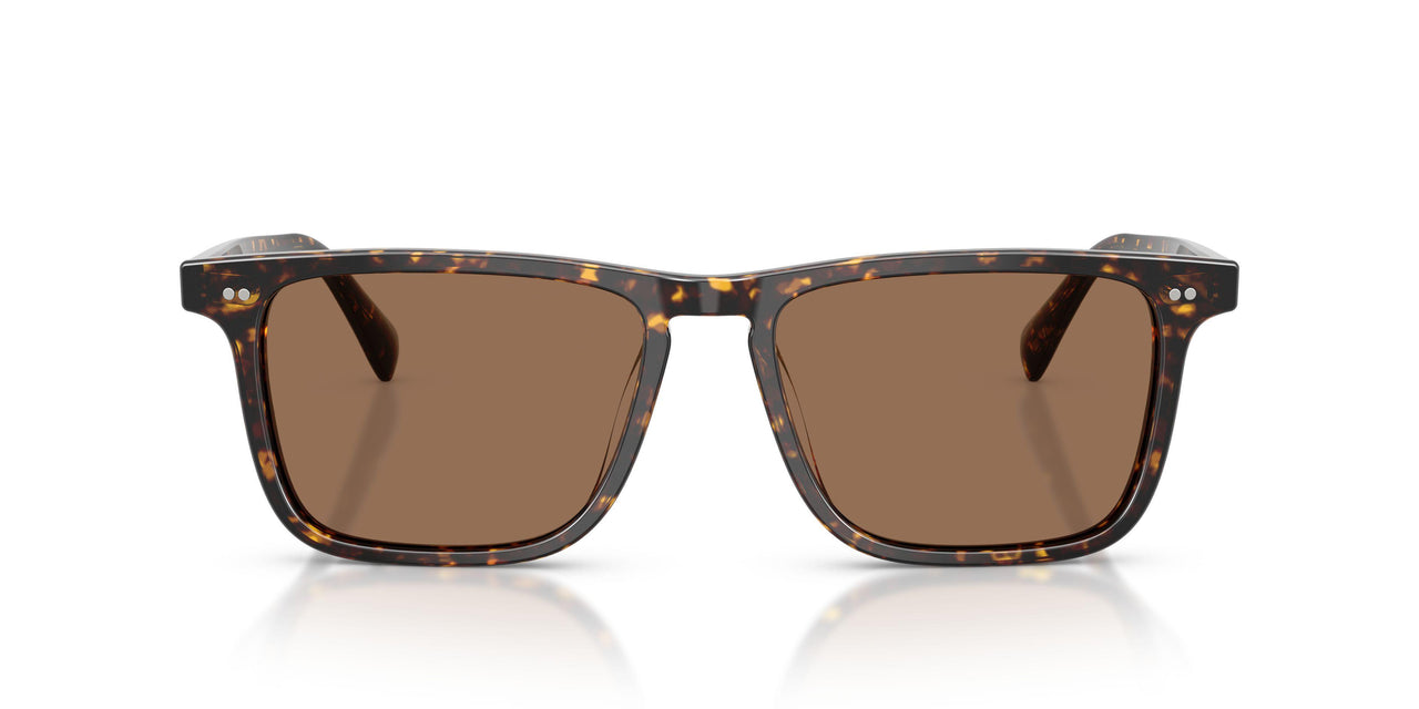 174173 - Tortoise - Brown