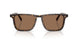 174173 - Tortoise - Brown