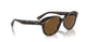 902/57 - Tortoise - Brown