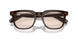 1772 - Brown