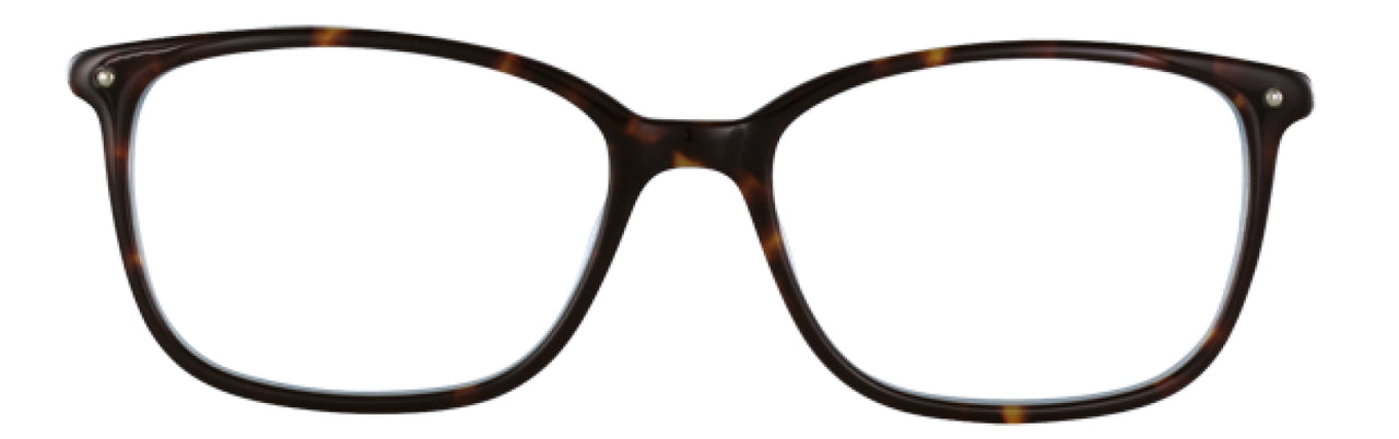 550 - Tort/blue