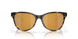 201205 - Tortoise - Gold Mirror