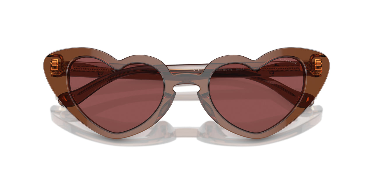 581175 - Brown - Wine
