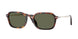 24/58 - Tortoise - Polar Green