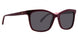 Vera Bradley VBJANH Sunglasses