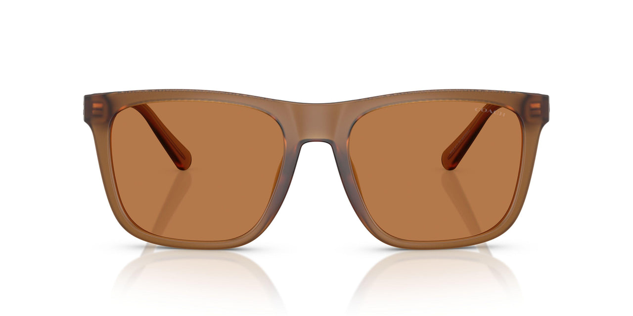 587673 - Yellow - Amber Solid