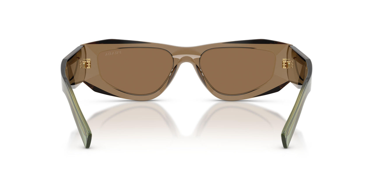 29E90F - Brown - Light Brown