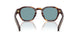 15W04D - Tortoise - Green Polar
