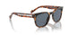 28194Y - Tortoise - Blue Polarized