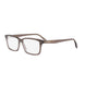 048 - Shiny Brown - DEMO