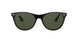901/31 - Black - Green