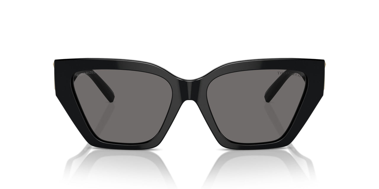 800181 - Black - Dark Grey Polarized