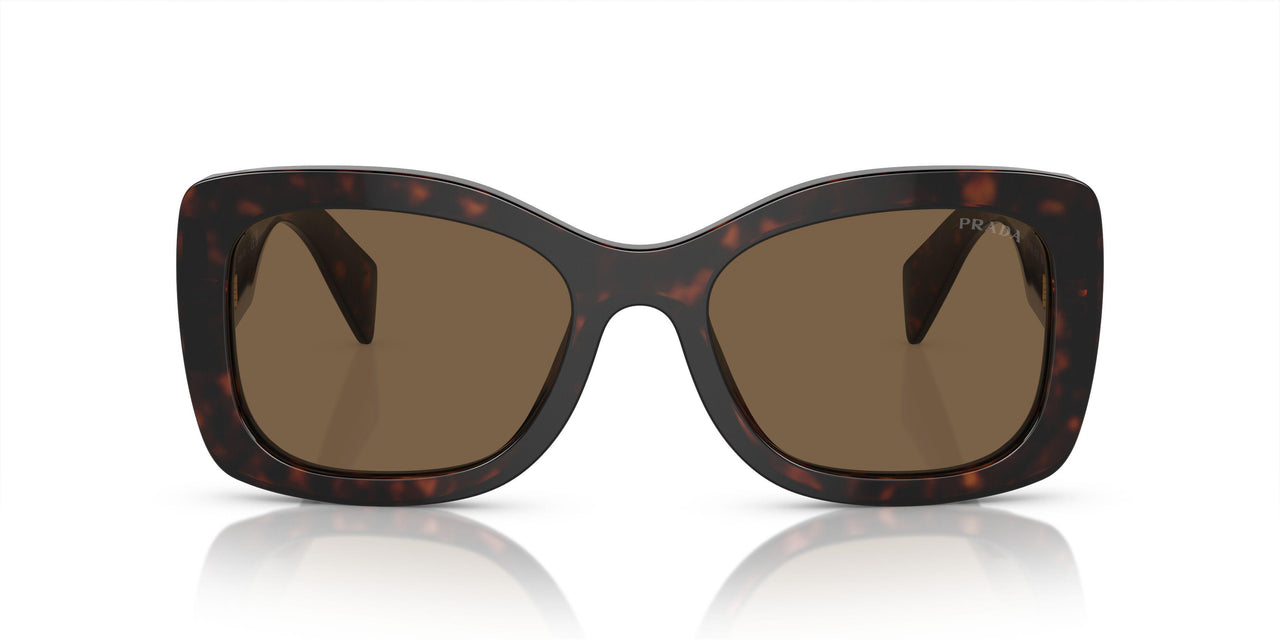 16N5Y1 - Brown - Dark Brown Polarized