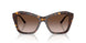 500213 - Tortoise - Brown Gradient