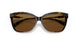 512083 - Havana - Brown Polar